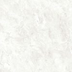 NG04